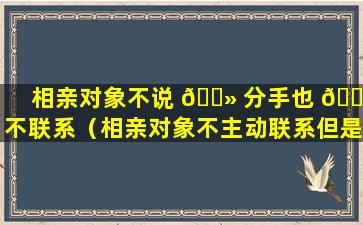 相亲对象不说 🌻 分手也 🍁 不联系（相亲对象不主动联系但是又回复消息怎么办）